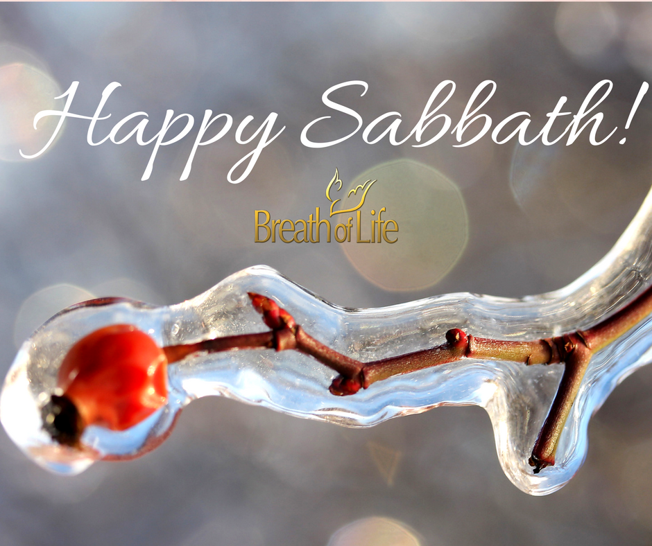 BreathofLifeTV's tweet photo. From all of us at Breath of Life Television Ministries, have a happy and blessed Sabbath Day!
#HappySabbath #breathoflife
#nad #sda #makingChristfirst
#Christian #Gospel https://t.co/9bZoXScJi2