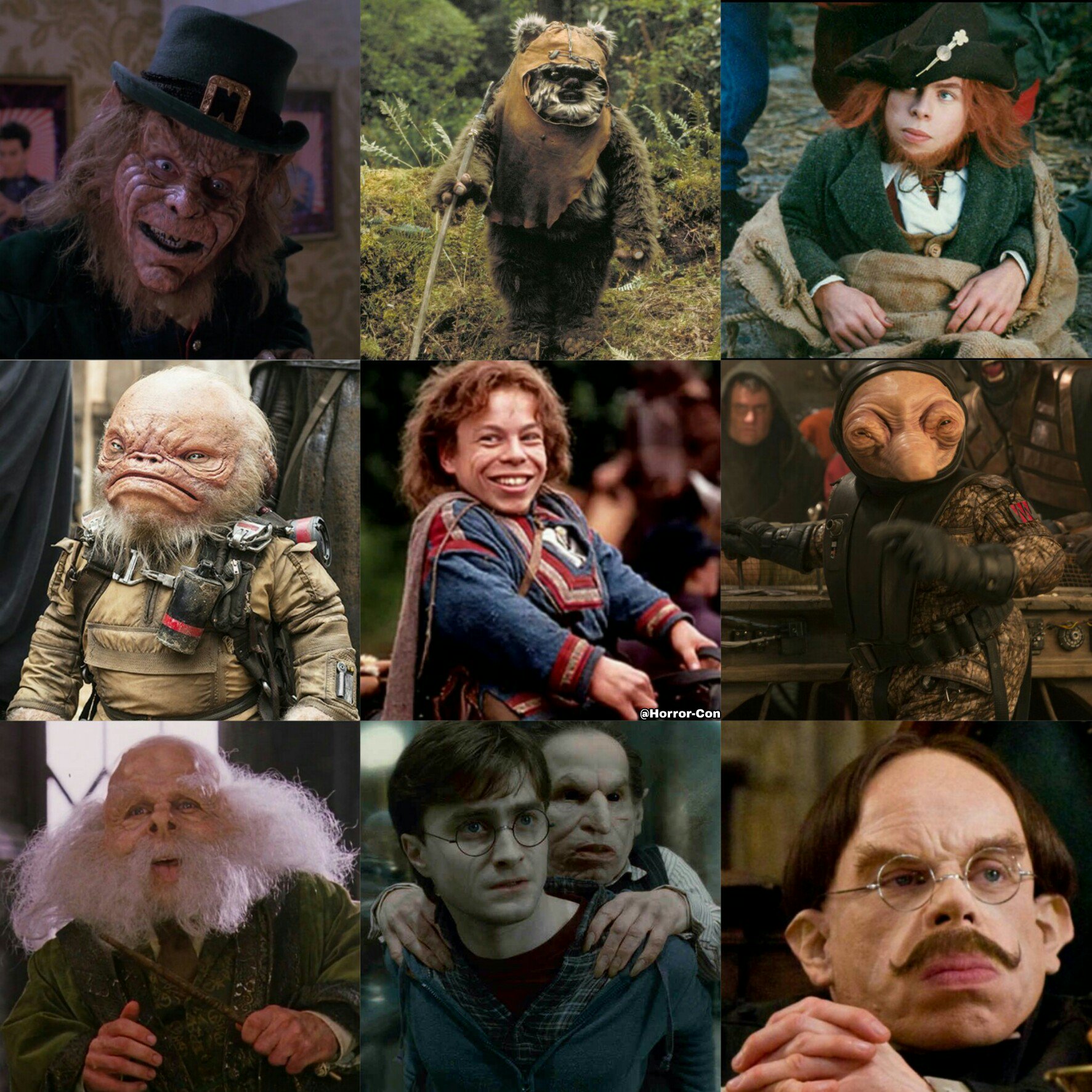 Happy 48th Birthday to Warwick Davis! 