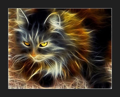 énchanted émpath (@jennjgustafson) on Twitter photo May The Feline Energies Surround You Today @moorlandsoul @EclecticSpirits @EsotericPagan <a href="/tulloch_tatum/">T.T.aka M ( R.I.P Sweety, Mitzi,& Tigger)🐱🌈❤🦋👑</a> <a href="/suziejane3579/">😇Sue 🔮⭐🕊</a> <a href="/iaskyouy/">Tish Aarhus</a> <a href="/scarlettkat13/">Donnamarie</a> <a href="/deannajudd70/">Pagan Sky</a> <a href="/Calleenscrafts/">Calleenscrafts</a> <a href="/aphroditegodde4/">aphrodite goddess ♓️🔮🧙🏼</a> @CryptolutionZ @Skinny_Wizard @DeForestMarina @DeborahBrinson <a href="/Elverojaguar/">The Cult Cat</a> <a href="/CatStarfire/">Cat Starfire</a> May The Feline Energies Surround You Today @moorlandsoul @EclecticSpirits @EsotericPagan <a href="/tulloch_tatum/">T.T.aka M ( R.I.P Sweety, Mitzi,& Tigger)🐱🌈❤🦋👑</a> <a href="/suziejane3579/">😇Sue 🔮⭐🕊</a> <a href="/iaskyouy/">Tish Aarhus</a> <a href="/scarlettkat13/">Donnamarie</a> <a href="/deannajudd70/">Pagan Sky</a> <a href="/Calleenscrafts/">Calleenscrafts</a> <a href="/aphroditegodde4/">aphrodite goddess ♓️🔮🧙🏼</a> @CryptolutionZ @Skinny_Wizard @DeForestMarina @DeborahBrinson <a href="/Elverojaguar/">The Cult Cat</a> <a href="/CatStarfire/">Cat Starfire</a>