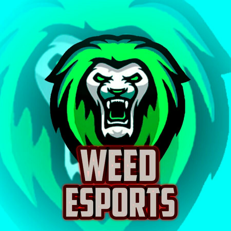 Liga_Inter's tweet photo. @weed_sports 1/16 bienvenidos a la competencia 👏👏 https://t.co/FGY5ZgPl1a