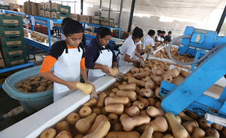 Compradores de más de 21 países participarán en Agromercados 2018. #LaTribunaHN ► bit.ly/2BV0kas