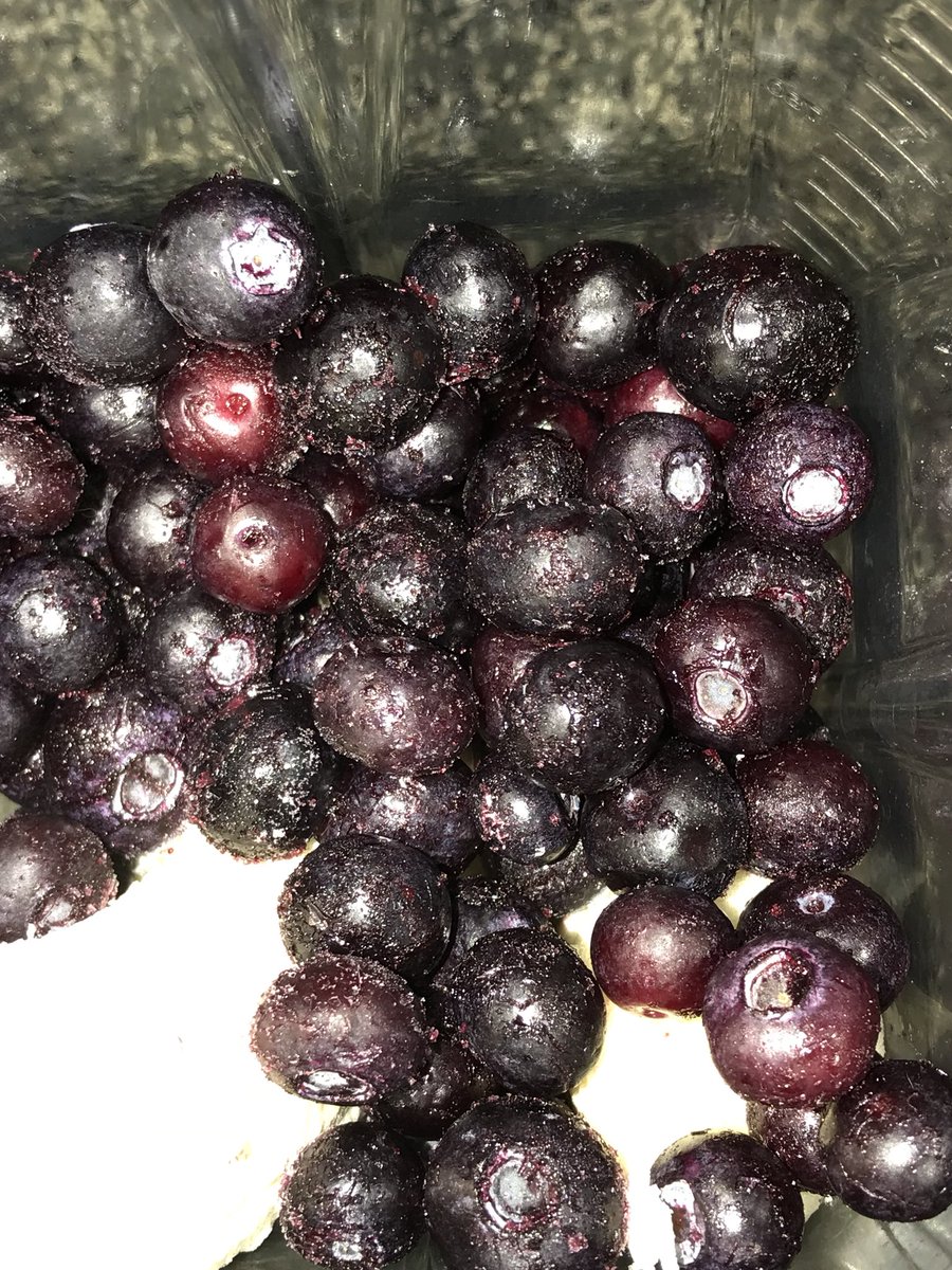 Weight4Life's tweet image. Smoothy 💚🌱