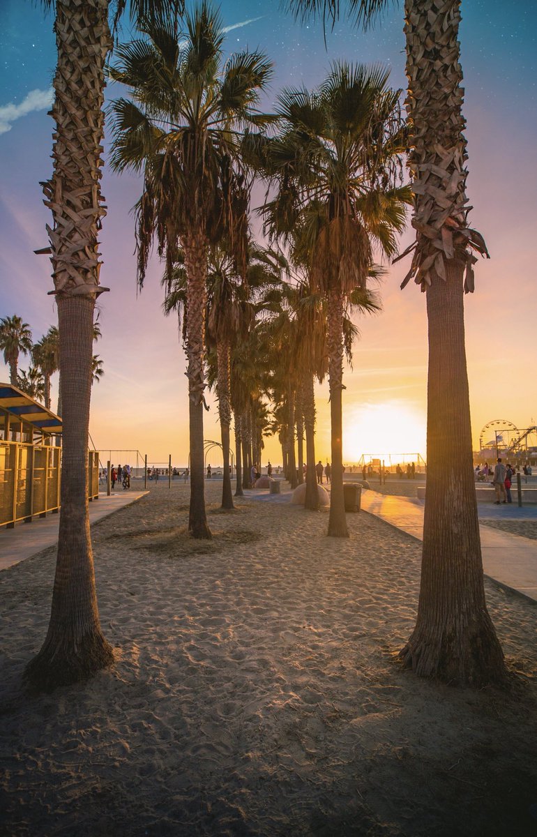 witnessphotos's tweet image. California state of mind 🌅