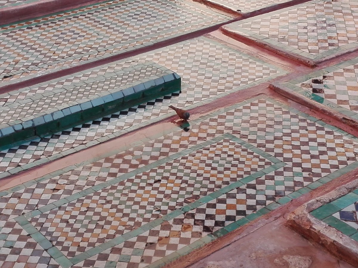 Estelaps85's tweet photo. @RutasaMarruecos ofrece también visitas guiadas en #Marrakech y #FEZ 
@RutasaMarruecos offer also #citytours in #Marrakesh and #Fes https://t.co/POGk8Yb6NP