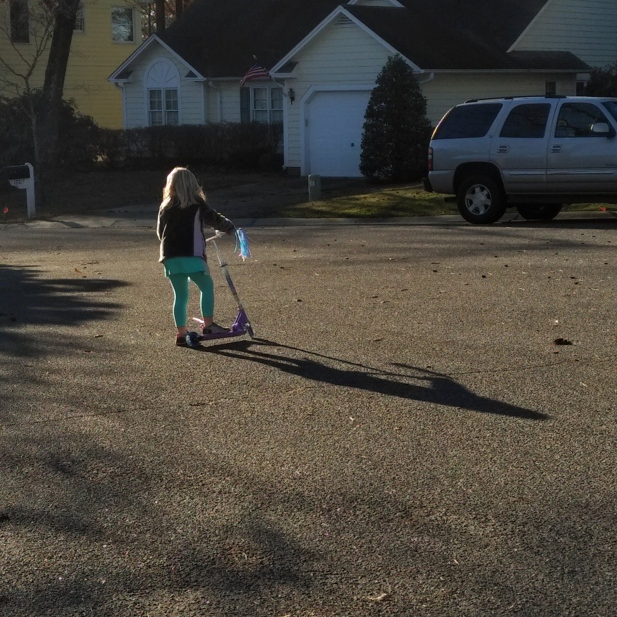 Lacy Mau-McDowell tweet media