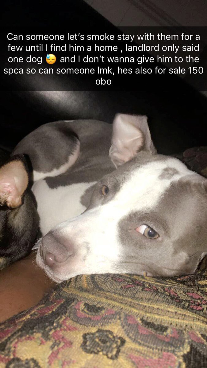 callmeslutt's tweet image. Smoke gotta go today 😭