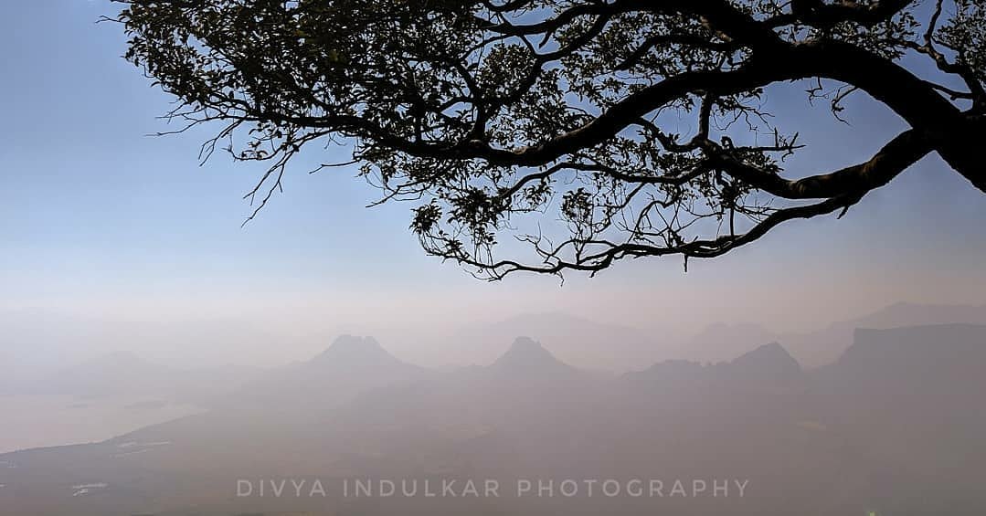 aberrantwander's tweet photo. #Repost @divya_i -  So the new chapter begins
.
.
#aberrantwanderers
#Trek #Wanderlust #Traveller 
#sunset #sunrise #instatravel #travelpics #travelgram #beautifuldestinations #beautifulplaces #greatesttravels #finditlivit #exploreeverything #wheretofindme #gooutside https://t.co/5HfurafEAM
