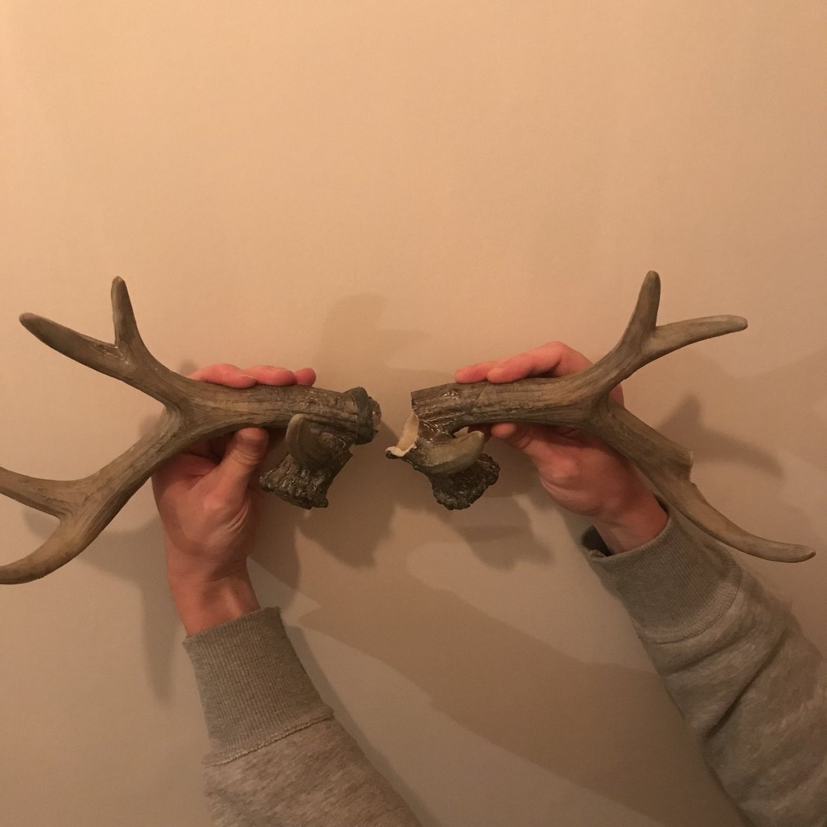BurnhamLucy's tweet photo. @coxandcoxuk these just snapped of their own accord and fell clean off the wall having only been up for a week - how can we get a replacement please? https://t.co/aMgcuVhTdi