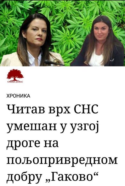 MolterNena's tweet photo. Emotivni partner Marije Obradovic, jedan od vlasnika poljoprivrednog dobra na kojem je pronadjena  laboratorija za proizvodnju marihuane. Niko iz SNS-a jos nije demantovao https://t.co/518aSMi4dm