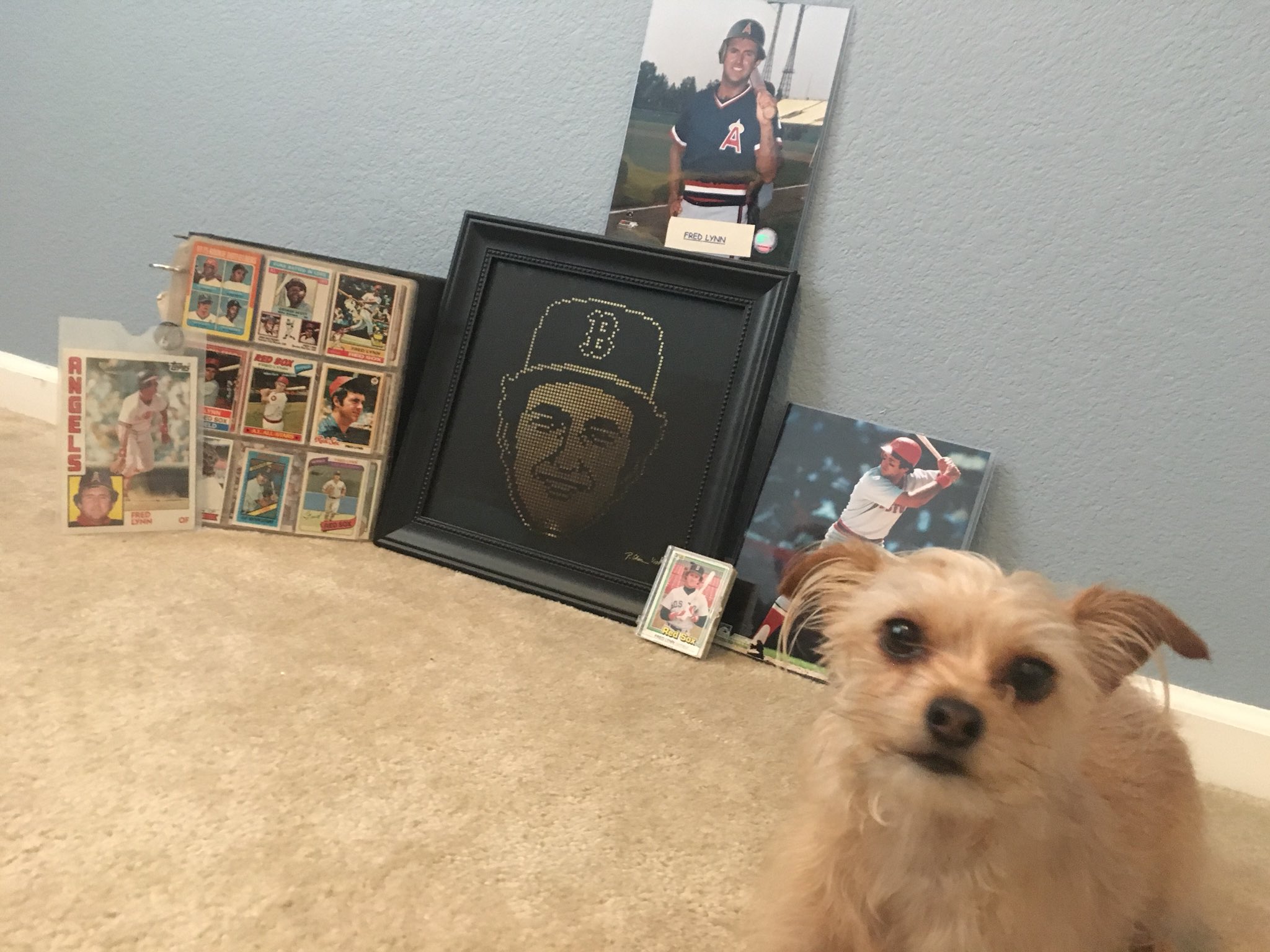  Our dog, Fred Lynn, would like to wish you a happy birthday! He is your second biggest fan ... 