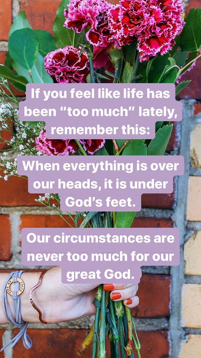 Alyssa Meehan tweet media