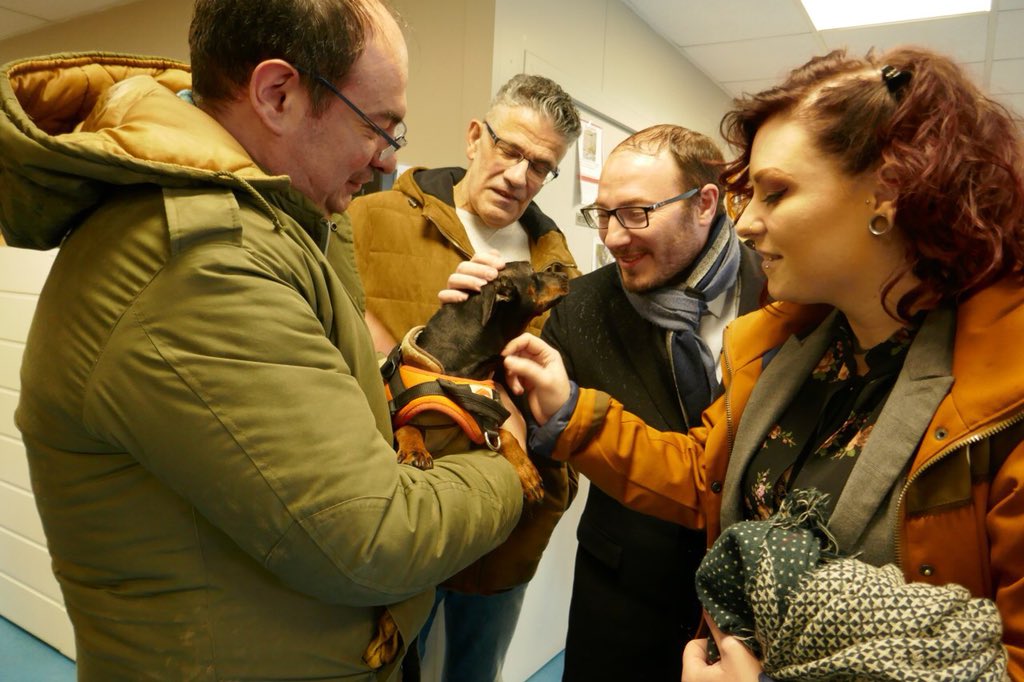 denis_Masseglia's tweet photo. Belles rencontres à la @SPA_Officiel de #Cholet avec @mythiXTrinity suite à son #streamspacholet qui a permis de récolter plus de 16 000 euros suite aux actes de cruauté qui s’y sont déroulés.
Merci aux bénévoles, aux donateurs et aux familles qui ouvrent leur foyer! https://t.co/SQuix2Eo63