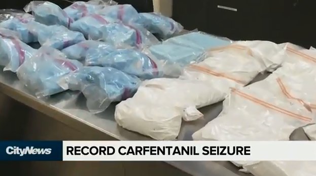 VIDEO: Multi-million dollar carfentanil seizure made in Edmonton bit.ly/2nExbv2
