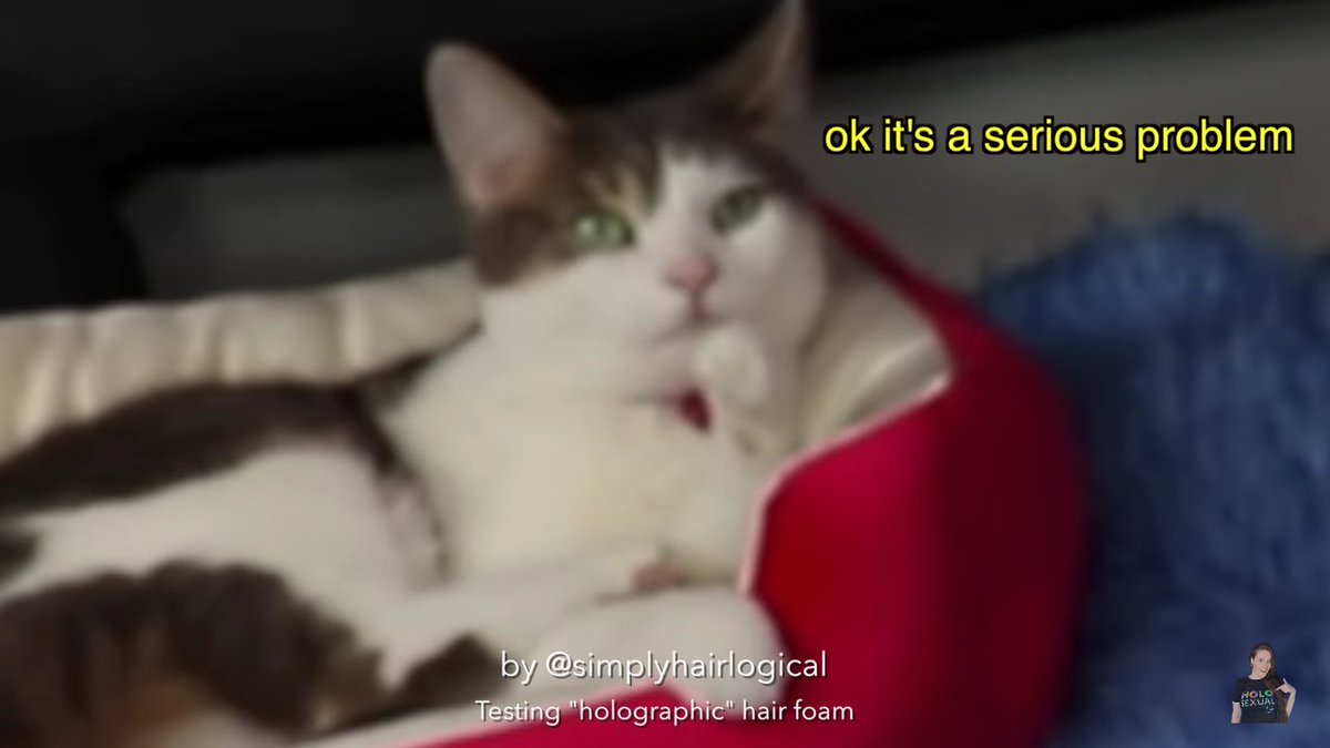 meowshiros's tweet photo. And on this episode of reasons why Menchie is going to take over the world one day @nailogical https://t.co/NRUFitVx9c
