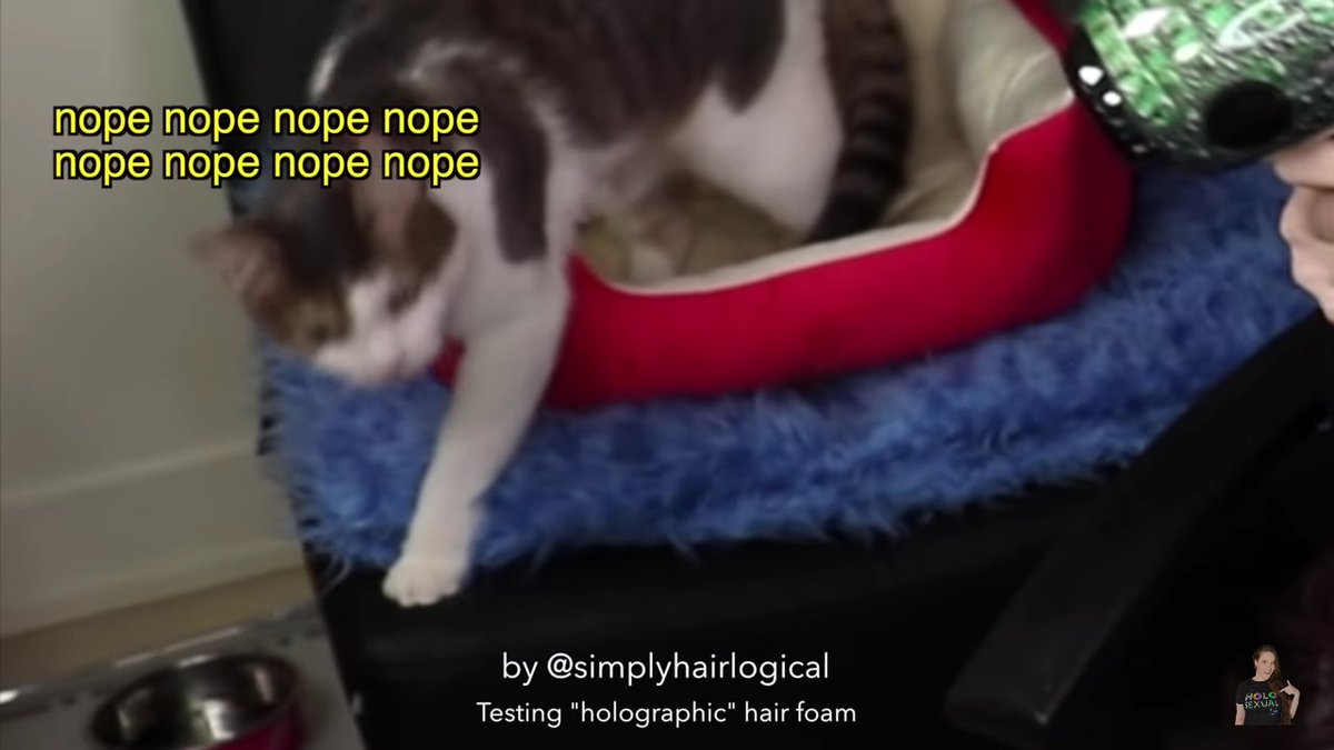 meowshiros's tweet photo. And on this episode of reasons why Menchie is going to take over the world one day @nailogical https://t.co/NRUFitVx9c