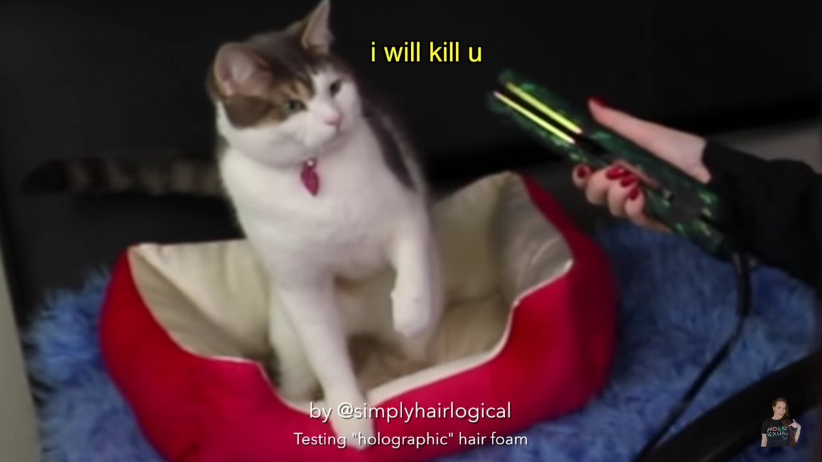 meowshiros's tweet photo. And on this episode of reasons why Menchie is going to take over the world one day @nailogical https://t.co/NRUFitVx9c
