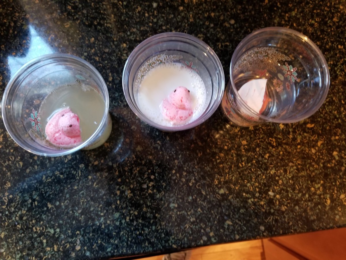 drjbg3's tweet photo. Will Simone be right? Will the Peeps Survive? These stories and more, live at 6PM. #STI #saturdaystem #sheissosmart https://t.co/RU4R1t08pC