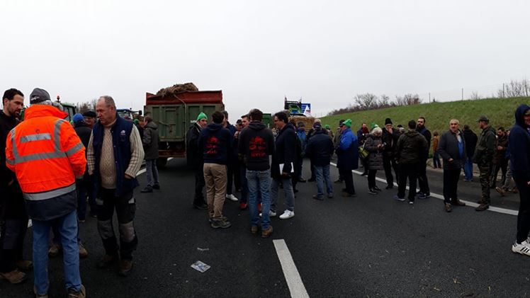 Les agriculteurs bloquent un péage à Montauban et annoncent le blocage d'Auch et Toulouse dlvr.it/QDtB8j