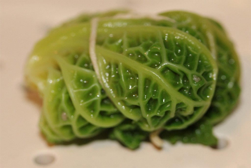 Agglutinata (@agglutinata) on Twitter photo 