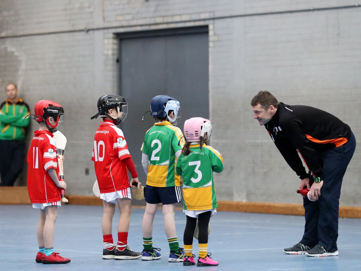 Big day's action at Central Wine Bar Under 8 Indoor Hurling League thesaffrongael.com/2018/02/03/nor… <a href="/loughgielgac/">Loughgiel Shamrocks</a> <a href="/OisinsClg/">Oisíns Clg</a> <a href="/NaomhPadraigCLG/">Naomh Pádraig</a> <a href="/ShaneUiNeill/">Shane Uí Néill GAA</a> @RuairiOgCdall <a href="/Cushendun_GAC/">Cushendun GAC</a> <a href="/CareyFaughsGAC/">Carey Faughs GAC</a> <a href="/GlenRoversArmoy/">GlenRoversArmoyGAC</a> <a href="/KickhamsCreggan/">Kickham's GAC Creggan</a> <a href="/Tirnanoggac/">Tír na nÓg GAC</a> All <a href="/AllSaintsGAC/">All Saints GAC</a> <a href="/AhoghillGAA/">St. Mary's Ahoghill</a>