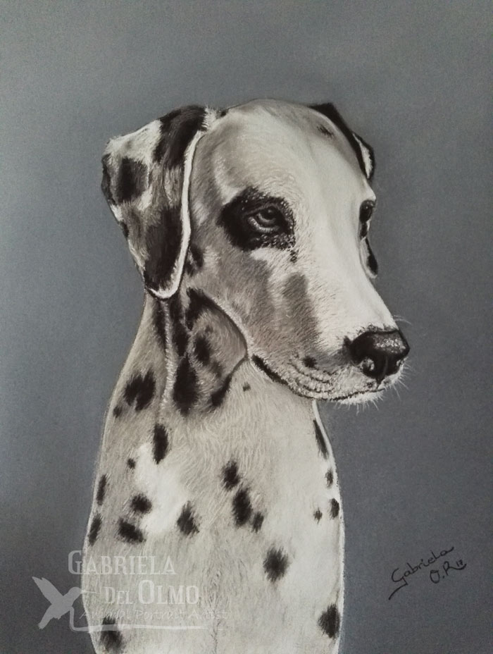 Portrait_Animal's tweet photo. ¡Ha pasado mucho tiempo desde mi última publicación! Creo que necesito que el día tenga más horas 😁
Os dejo el resultado de uno de los retratos que hice de un encargo. ¡Espero que os guste!
#ReatratoPerros #PinturaPastel #GabrielaDelOlmo #RetratosMascotas https://t.co/rnGnJzWMtl