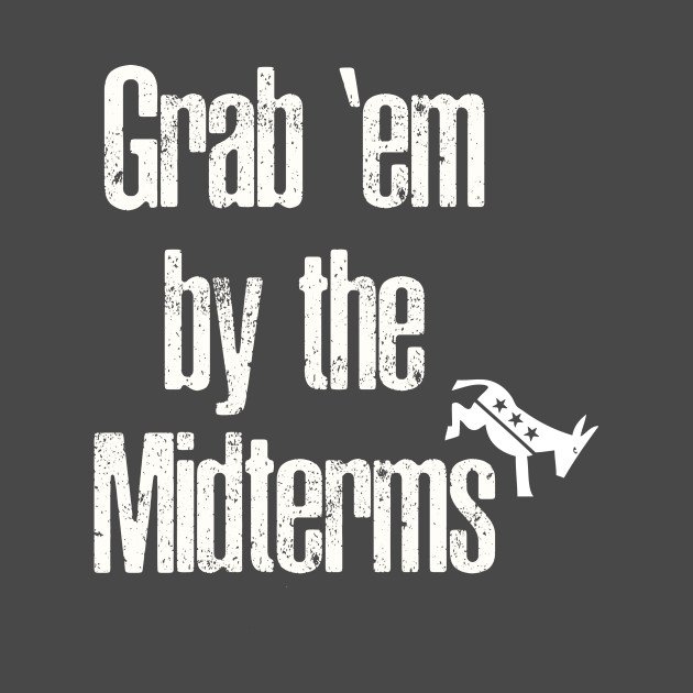 JimmyBear2's tweet photo. 275 DAYS UNTIL #Midterms2018!
#YouHaveToVote #RepublicansAreDestroyingAmerica #VoteThemOut2018 #VoteBlue2018 #FUCKtheGOP #BlueWave2018 #Resist #TheResistance 🌊🇺🇸 #VoteTheGopOUT🗳️#votingrights #BlueWaveIsComing #TheResistanceVOTES https://t.co/JLC4NyPd3R