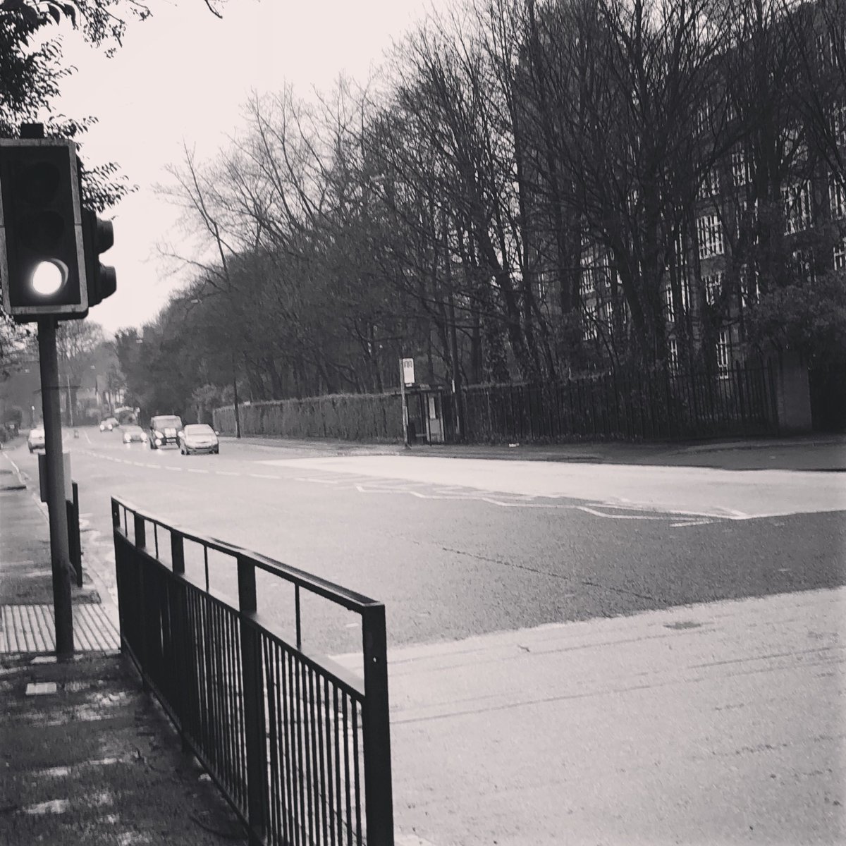 Sam Carson tweet media