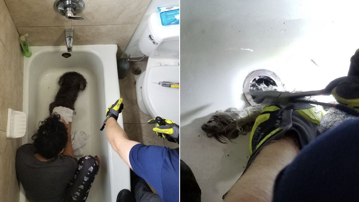 Broward firefighters rescue dog after her paw gets stuck in drain bit.ly/2FHscku https://t.co/EykwLzdAIU