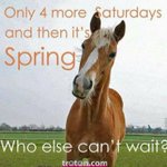 Photo by Kingstone Equestrian Supplies (@info_kingstone)