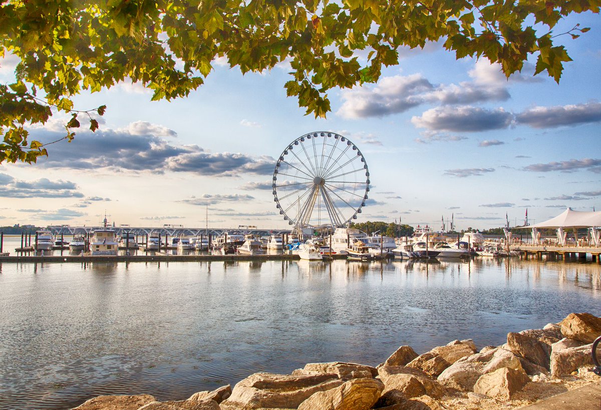 GrayLineToursDC's tweet photo. A romantic dinner cruise on the #PotomacRiver, a stroll along the #NationalMall, admiring #WashingtonDC's stunning skyline from the top of the #CapitalWheel - these are just a few unique ways you could spend #ValentinesDay in the city 😍 https://t.co/NXWYRaOX4f https://t.co/bzQlX3W2VH