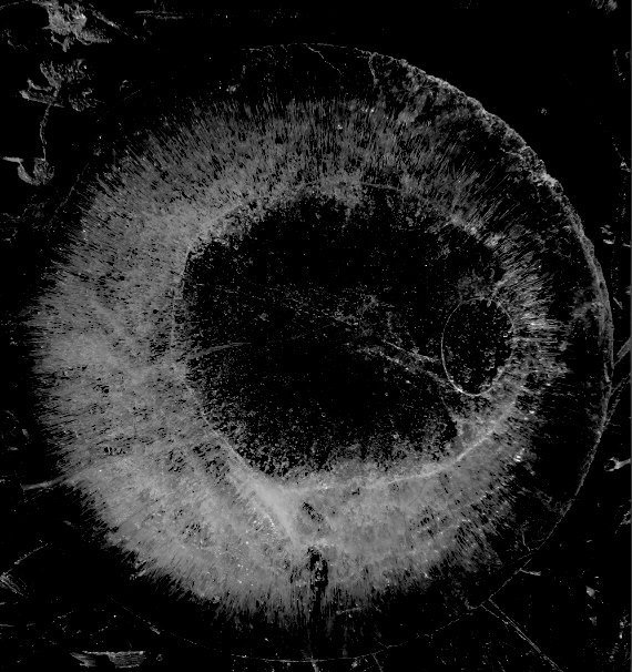 archillect's tweet photo. https://t.co/yGEk9li6HC