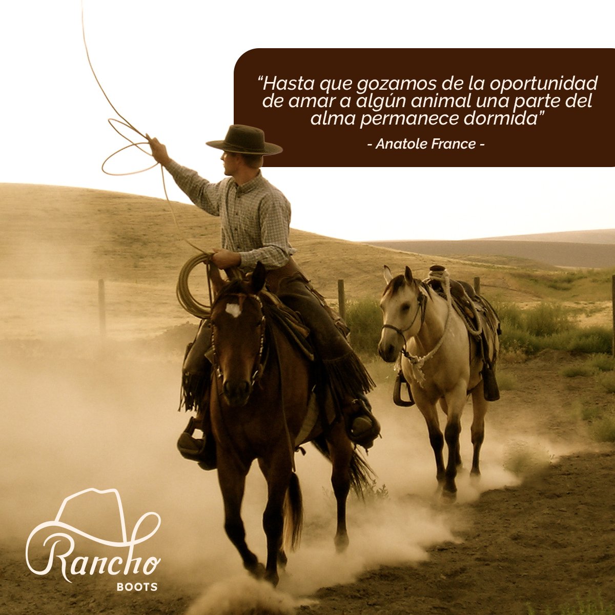 BootsRancho's tweet photo. Entrégale afecto a un animal y él te entregará su corazón por toda su vida. #SoyRancho ❤🐴 https://t.co/kWLwTFCiQl