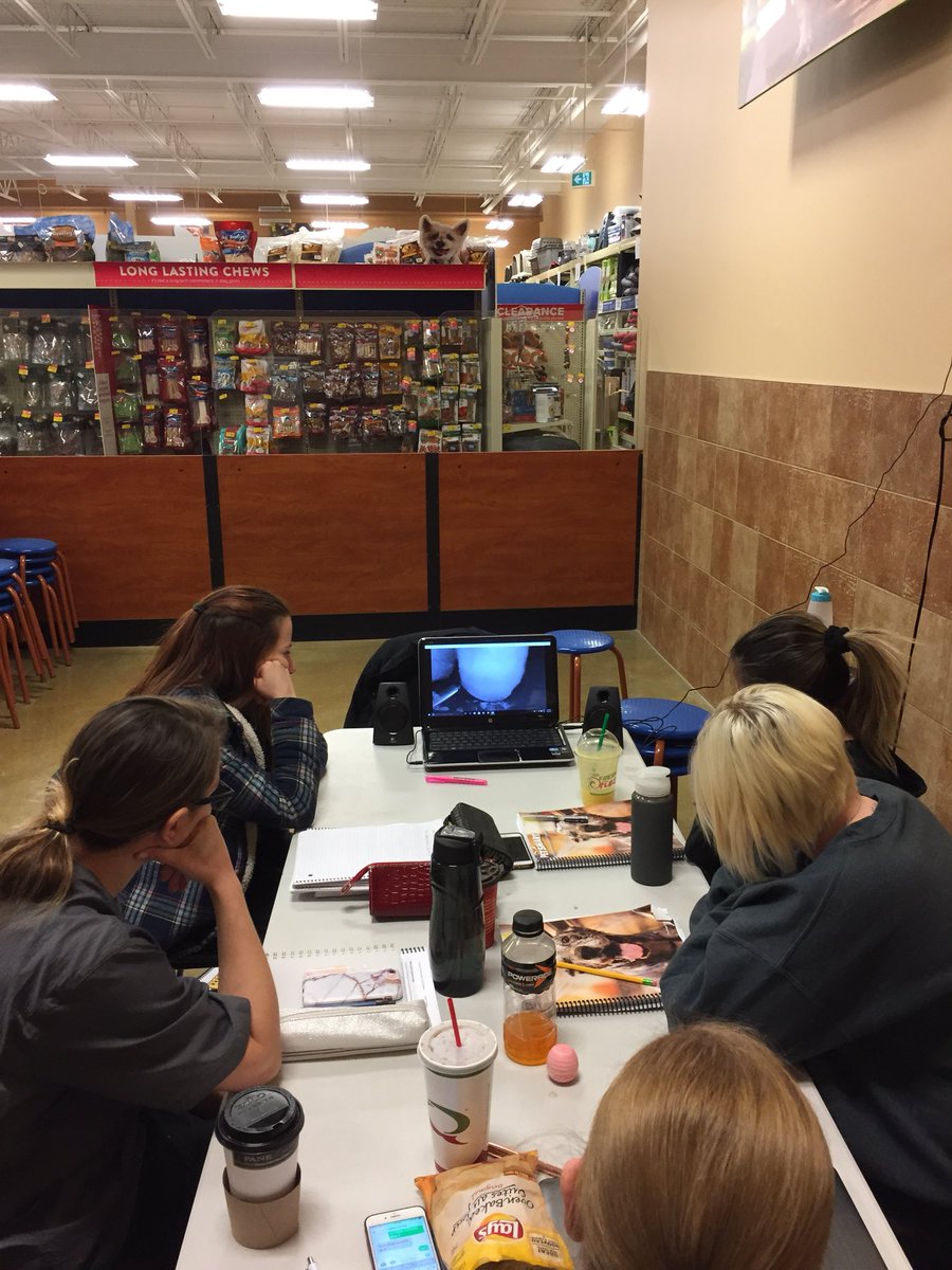 grammar2824's tweet photo. A successful morning followed by a lesson from Olga on his Majesty the Bichon Frise! Groomers around the world can’t rave enough about Olga! Such an inspiration to us all! #modernstyles #petsmartgroomingacademy #DATlife #trustedpartner https://t.co/8aKSlWJMlo