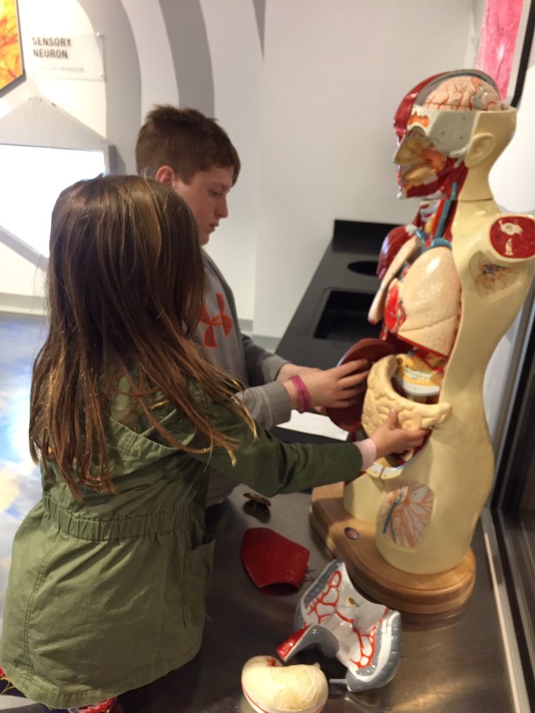 DarrylP1624's tweet photo. Gettin our STEM on @discoveryplace https://t.co/PCnJrFD7wd