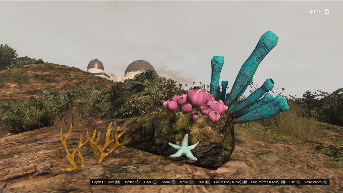 KrisBandicoot's tweet photo. #ROCKSTARLOGIC @Dat_Saintsfan Found a mossy rock with aquatic plants on it... on a mountain near the observatory... gj, Rockstar. https://t.co/p5gTgyrvMN