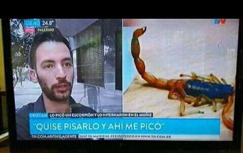Flantasma1's tweet photo. argentina un pais con buena gente https://t.co/yVpyBRLoUx