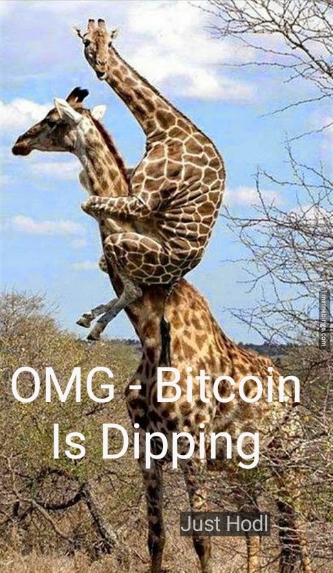 officialmcafee's tweet photo. https://t.co/BC5XJoEy8w