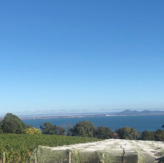 sinkonah's tweet photo. Ocean views and beautiful things at The Creators Market today at Terindah Estate on the Bellarine Peninsula! Here til 3pm ✨🌟 https://t.co/0aR5ERaucK