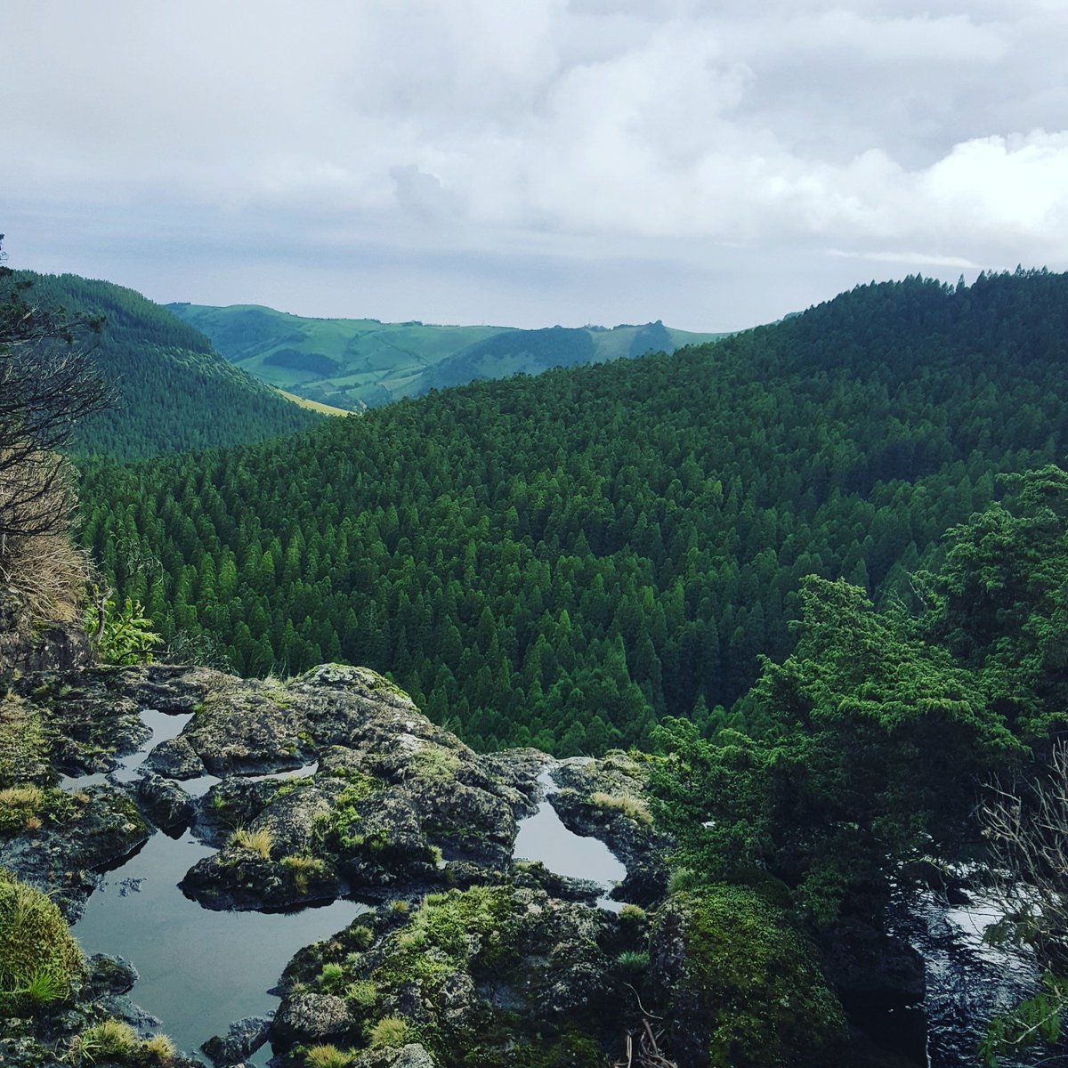 experience_oc's tweet photo. Ilha das Flores
https://t.co/EoOtl9yxxn
#ilhadasflores #floresisland #flores #travel #guide #hiking #tour #jeeptour #portugal #tourdejipe #Fajãgrande #Santacruz #açores #azores #experienceoc #followyourway #earthfocus #nature #natureza #travel #fantastic #love #green #atlantic https://t.co/WFDVVWRPMU