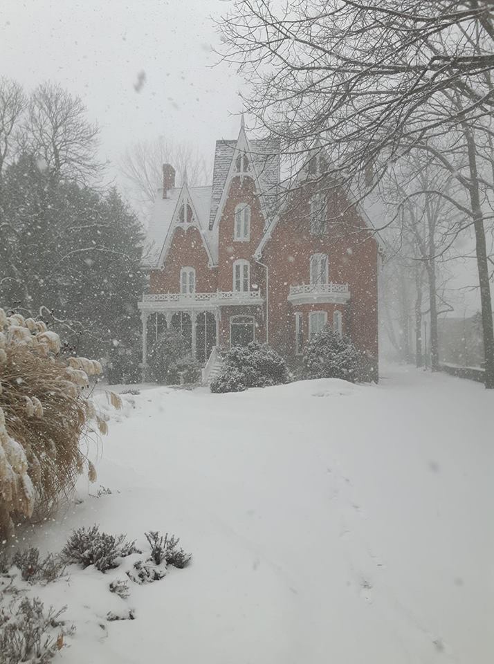 MerrillInn tweet media