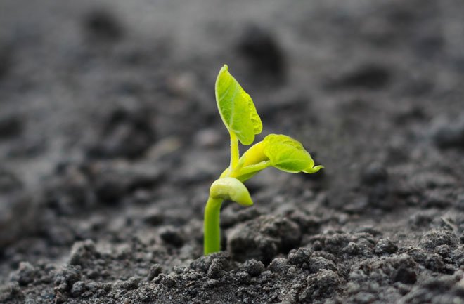 FlexiScribe's tweet image. You don't let life happen to you, you happen to life!!! #Flexiscribe