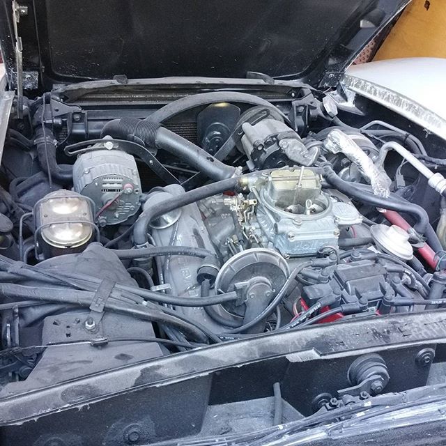 apaperaddict's tweet image. It's gonna be great. #1980vette #adulting #fastfastfast #shellbepretty