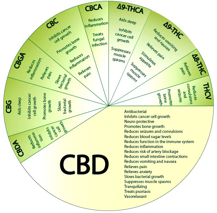 CbDelites tweet picture
