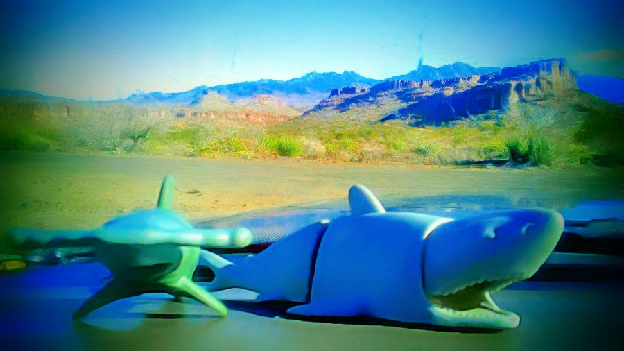 aladreth's tweet photo. These two sharks are my road dogs ;) Since 2016 they go everywhere with me ;)
#Arizona #Love #Sharks #DashCam @ "the ridge" w. #aladreth https://t.co/DCDRVTKXeb