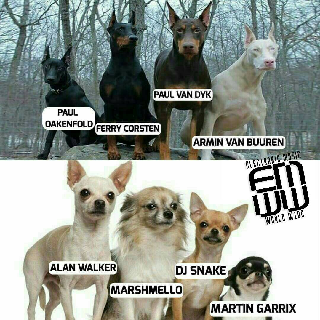 ElectronicMWW's tweet photo. No hay comparación jaja 😂
#EMWW https://t.co/KdQKgeBr4e