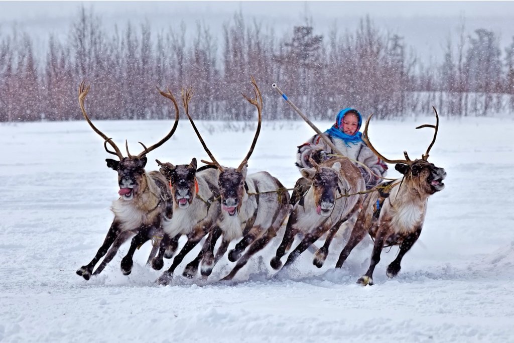 Erdenebatar's tweet image. Ugluunii mend ee😊🌹