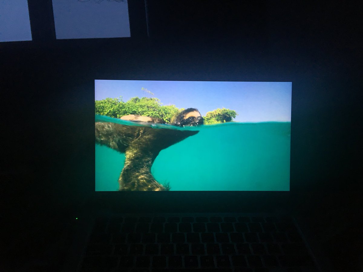 meghansfisher's tweet photo. Finally watching #PlanetEarth2 & it’s so beautiful that I want to cry. 🌏 #goslothgo #findyourmate #plottwistshesalreadytaken https://t.co/IvZaYrvVgl