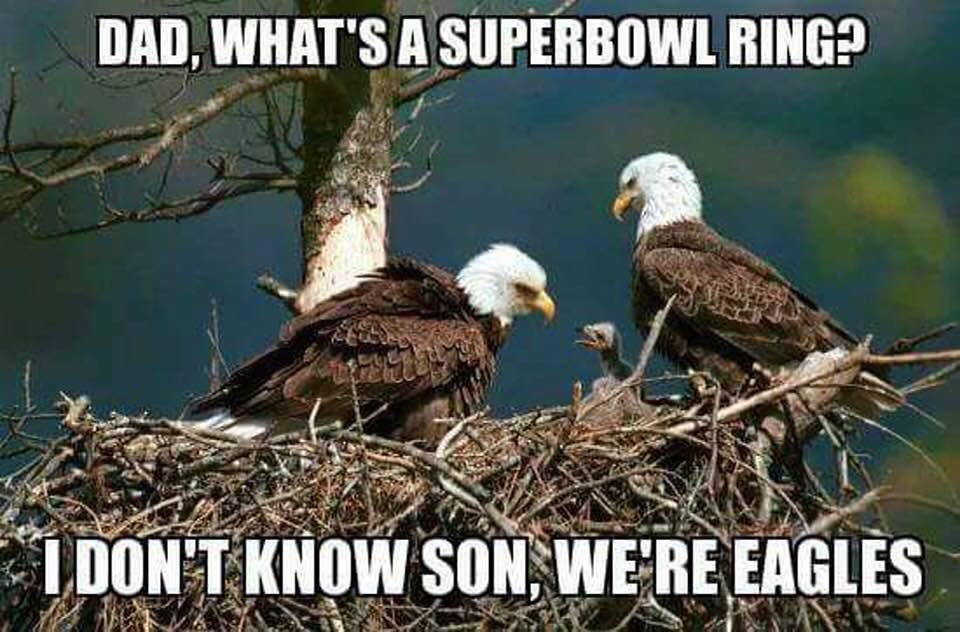 HamiltonTix's tweet image. Go Pats