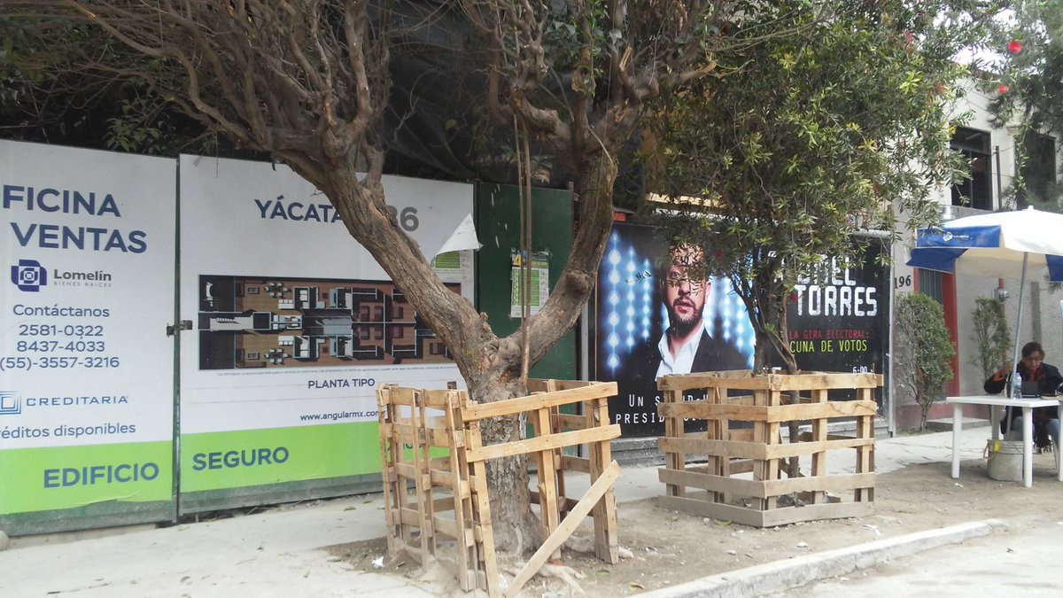 PatriciaAlfaro's tweet photo. Construcción en Yacatas 186 @DelegacionBJ @Christianvonroe. No tiene manifestación de obra. Urge revisar. Y van a talar 1 🌳 para hacer entrada estacionamiento. @ ViveBJ https://t.co/h7Dz3i6DDS