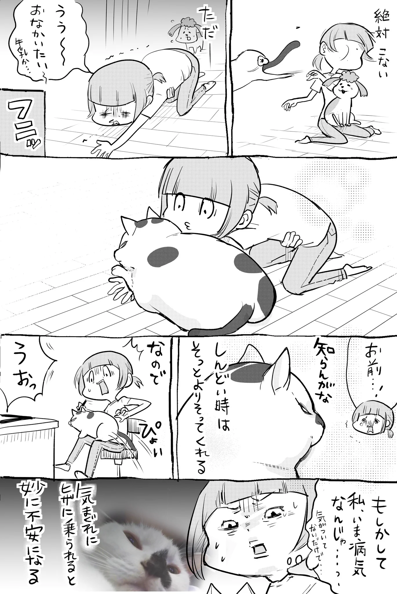 犬はいつでも楽しんでくれる安定感♪猫は特別な時だけ寄り添ってくれる限定感♪